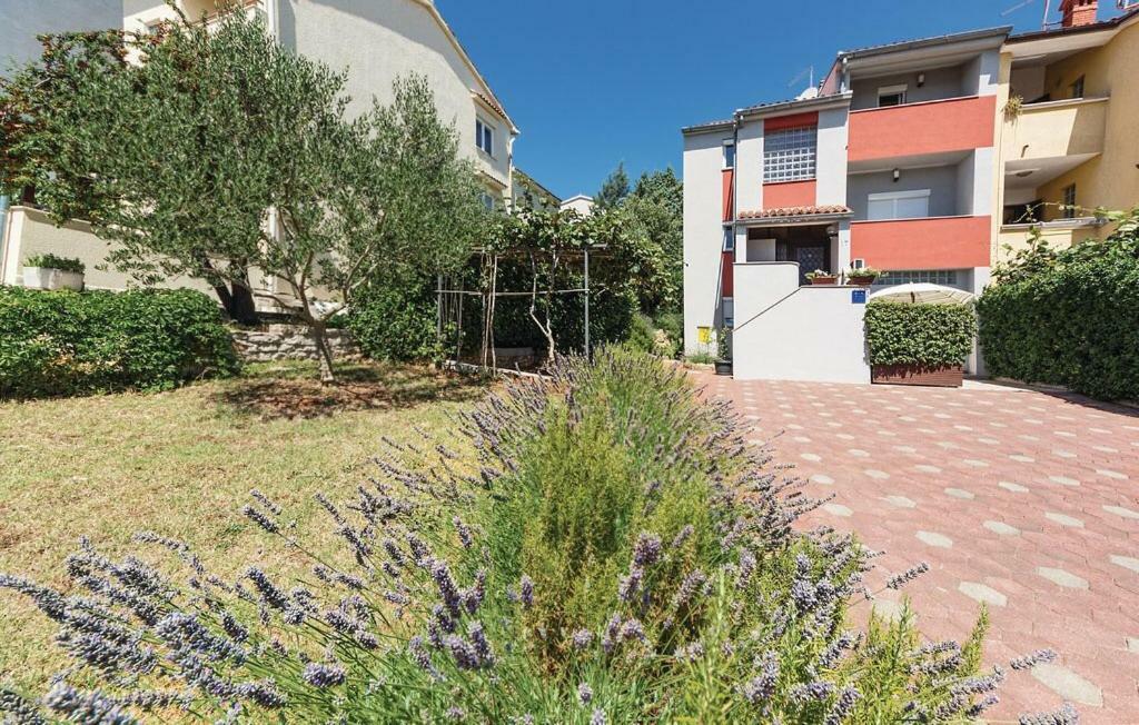 Apartments Veda Póla Kültér fotó